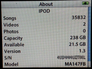 iPod 5g with 256Gb PNY