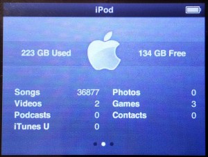 384Gb iPod About Screen