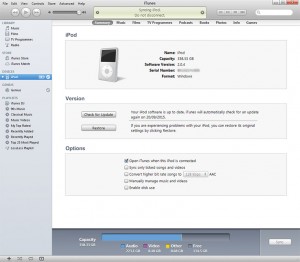 384Gb iPod iTunes Screen